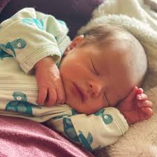 Hound and About Dog Walking