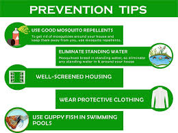 © 2006 centers for disease control and prevention (cdc). Dengue Fever When You Know Better About It You Keep Safe