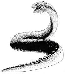 Harry Potter And The Chamber Of Secrets: Basilisk By Jerome-K-Moore On  Deviantart | Harry Potter Creatures, Basilisk Harry Potter, Harry Potter  Tattoos