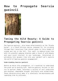 Image result for Searsia gueinzii