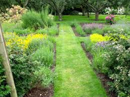 Le Bicarbonate Est Un De Ces Produits Que L On Retrouve Dans Presque Tous Les Foyers Etant Tres Polyvalent Vous Pouvez L Jardin D Herbes Plan Jardin Jardins