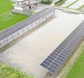 栗東市の営農型太陽光、「一本足架台」で連鎖倒壊リスク低減 ...