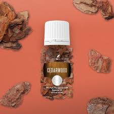 With tips, tricks, and info about using #essentialoils everyday. Jangan Salah Pilih 6 Jenis Essential Oil Dari Young Living Punya Manfaat Berbeda