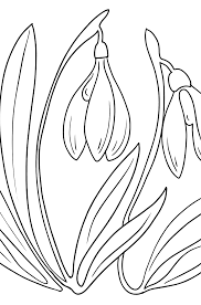 Maybe you would like to learn more about one of these? Flowers Coloring Pages For Girls Print A4 And Color Online
