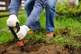 Plus, our soil is so coral rock heavy, burial is a tough job if you want them deep enough so small predators can't get to them. How Deep To Bury Cremated Remains