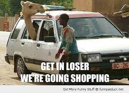 Add to my soundboard install myinstant app report download mp3 get ringtone notification sound. Get In Loser We Going Shopping Funny Camel Image