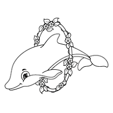 Subscribe to see which pictures of dolphins to. Top 20 Free Printable Dolphin Coloring Pages Online