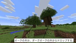 マイクラ りんごの入手方法は リンゴの効率の良い取り方と使い道 脱 初心者を目指すマインクラフト