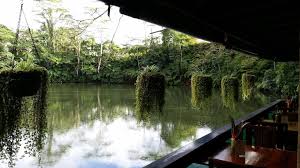 Standing at a height of 6 ft 5 in (1.96 m), he plays at the point guard and shooting guard positions. Colo I Suva Rainforest Eco Resort Suva 2020 Neue Angebote 16 Hd Fotos Bewertungen