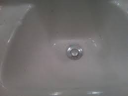 ants in bathroom sink picture of