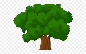 All images is transparent background and free download. Cartoon Transparent Background Tree Clipart Png Download 5332396 Pinclipart