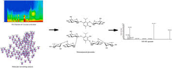 Image result for Psychotria articulata