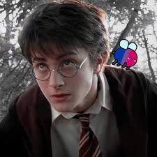 hp characters and their sexualities! (my hcs)