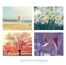 Showing results for 4 seasons wall art. Amazon Com Four Season Photography Set Of Prints 4 Season Wall Art Nature Wall Decor Summer Autumn Winter Spring Art Pictures 5x7 8x10 11x14 Living Room Wall Art 25 Off Discount Handmade