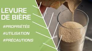 We did not find results for: Comment Prendre De La Levure De Biere Pour Grossir Prevention Sante Bien Etre