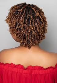 Signature Mini Twists Natural Hair Salon New York Mini Twists Natural Hair Mini Twists Natural Hair Salons