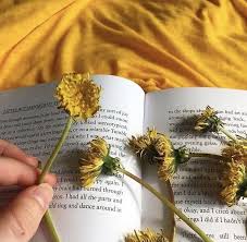 Download the perfect yellow book pictures. Pressed Flowers Books And Yellow Image 6029218 On Favim Com