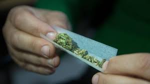 Le Cannabis Et Les Consommateurs Ont Change