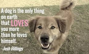 25 Dog Quotes With Pictures Some dogs just don't like cuddling. 25 dog quotes with pictures