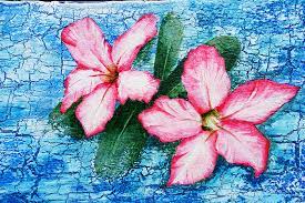 Merhaba ahmet bey, söylediğiniz sıralamada dolgu verniği önceliklidir çünkü ufak tefek boşlukları doldurmak için kullanılır sonrasında akrilik boya uygulaması yapabilirsiniz. Akrilik Boya Nasil Kullanilir Akrilik Boya Uygulama Teknikleri Permolit