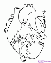 The heart is a mostly hollow, muscular organ composed of cardiac muscles a. Human Heart Coloring Page Coloring Pages Pictures Imagixs Coloring Library