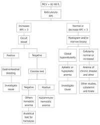 Classification Of Anemia For Gastroenterologists