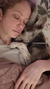 My dog was diagnosed with linfoma cancer 3 years ago. I knew from the  beggining that her days were counted...the doctors actually gave her  maximum 12-18 months to live with treatment... So