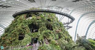 Meine Foto Highlights Die Schonsten Bilder Aus Drei Wochen Singapur Singapur Reisefotografie Bilder