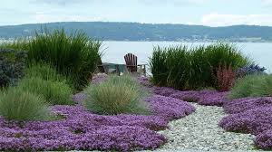 Front yard front yard makeover transformation | south surrey bc. 20 Landscaping Ideas Using Grass Plants Home Design Lover