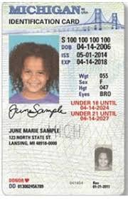 Maybe you would like to learn more about one of these? Michigan State Id For Children Michigan Insurance