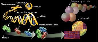 Check spelling or type a new query. Omics Wikipedia