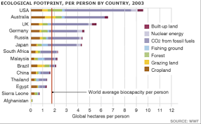 Is Our Ecological Footprint Connected To The Sixth Great