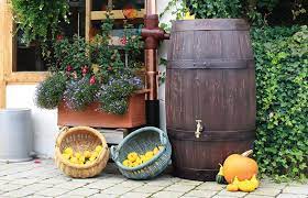 Weitere ideen zu wassertank, ibc wassertank, ziegenstall. Regentonne Fur Den Garten Gunstig Frachtfrei Online Kaufen
