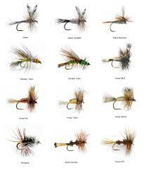 Why trust trout flies for fly fishing gear? Fly Fishing Trout Flies Trout Crushing Dry Fly Assortment 72 Dry Flies In 12 Patterns Walmart Com Walmart Com