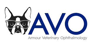 We are conveniently located at best friends animal hospital. Ophthalmology Friendship Hospital For Animals