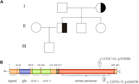 Image result for Protein C Deficiency
