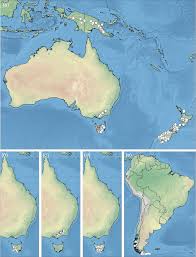 Image result for Asterochaete