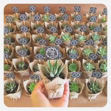 Kaktus mini ariocarpus · 2. Cute Wedding Favors Best Of Living Room Succulent Vase New Mini Sukulent Mini Succulent Kaktus Ideas Weddingfavors Hochzeit Sussigkeiten Gastgeschenke Hochzeit Und Hochzeitsgastgeschenke