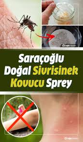 Sivrisinek Isirigina Ne Iyi Gelir Saracoglu Dogal Sivrisinek Kovucu Tarifi Dogal Saglik Ve Fitness Yazi Onerileri