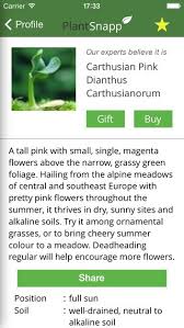 For some users, it'll be excessive but for those keen to cultivate their green space, it's a huge help. Every Gardener Needs A Plant Identification App Preparednessmama