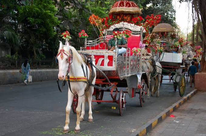 Horse carriage editorial photo. Image of means, street - 103783086