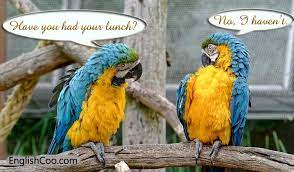 Maybe you would like to learn more about one of these? Contoh Dialog Present Perfect Tense Percakapan Seru Berbagai Topik Englishcoo