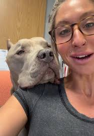 Benefits of Bringing Your Dog to Work Everyday