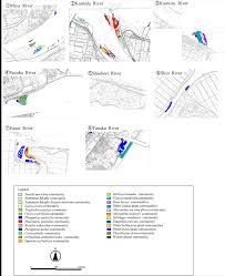 Image result for Phacelurus