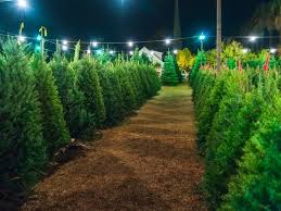 Its message is based on the bible. Where To Find 2020 Christmas Tree Sales In Alexandria Old Town Alexandria Va Patch