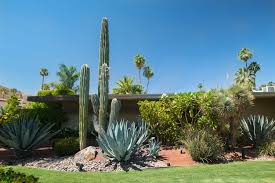 One thing desert scapes hava lot of is rocks. Desert Friendly Landscaping Ideas For Arizona Mesquite Landscaping Inc