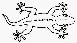 Or went into the house and leaned his hand on the wall and a serpent bit him. 25 Gambar Kartun Haiwan Hitam Putih Miki Kartun Di 2021 Gambar Kartun Gambar Kartun