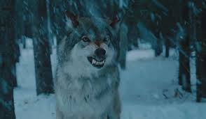 Don T Bite The Hand That Feeds You Gif Https Encrypted Tbn0 Gstatic Com Images Q Tbn 3aand9gcsdmdsebgdrtb47belmxwyxzhbsj489saq6aa Usqp Cau