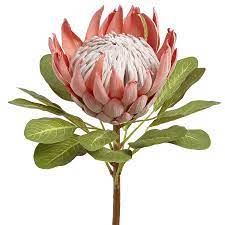 Oversized Faux Queen Protea Stem Pink Protea Art Flower Painting Flower Art