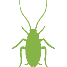 Customer service is our main priority. Pest Control Company Exterminators Bed Bugs Termites Roy Wa